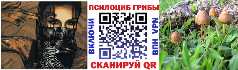 Галлюциногенные грибы мухоморы хочу наркоту Азнакаево